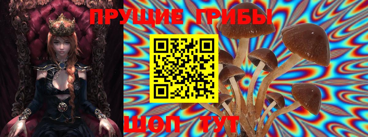 Псилоцибиновые грибы мухоморы  Вход с VPN  Советск  Галлюциногенные грибы Psilocybine cubensis 